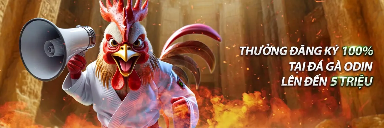 Hình ảnh chính sách chơi có trách nhiệm của 13win vin